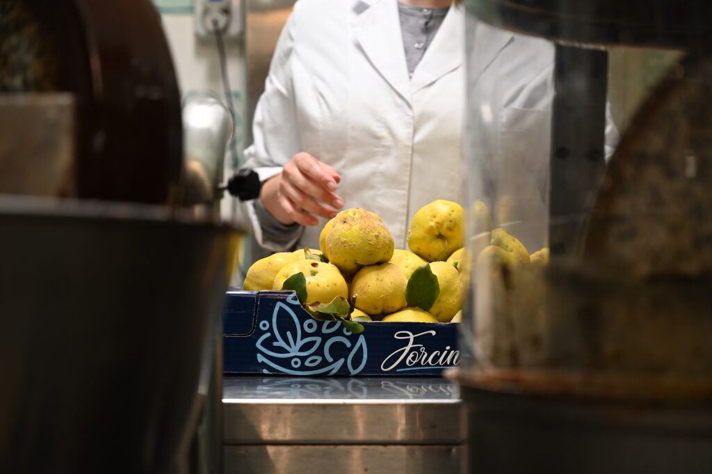 Degustazione al Cucchiaio 3 Gelato Artigianale di Melecotogne di Mokambo Gelateria Ruvo di Puglia1 1 - Gelateria Artigianale Mokambo