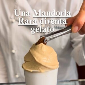 Mandorla Garibaldina Mokambo Gelateria - Gelateria Artigianale Mokambo